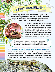 Змеи, ящерицы, черепахи
