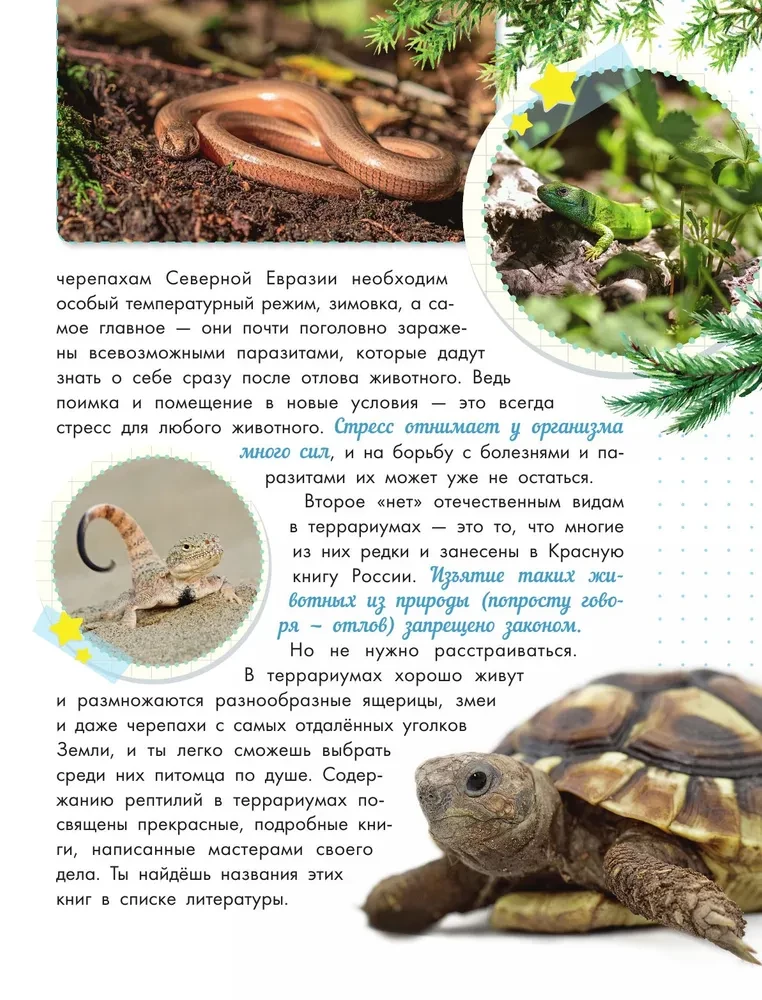 Змеи, ящерицы, черепахи