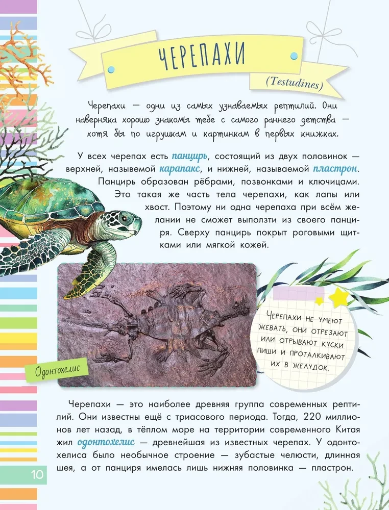 Змеи, ящерицы, черепахи