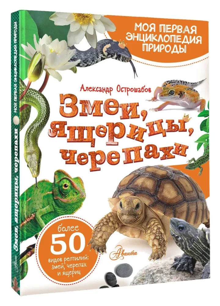 Змеи, ящерицы, черепахи