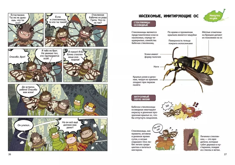 NaseKomiksi. Negadījums bišu stropā