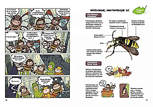 NaseKomiksi. Negadījums bišu stropā