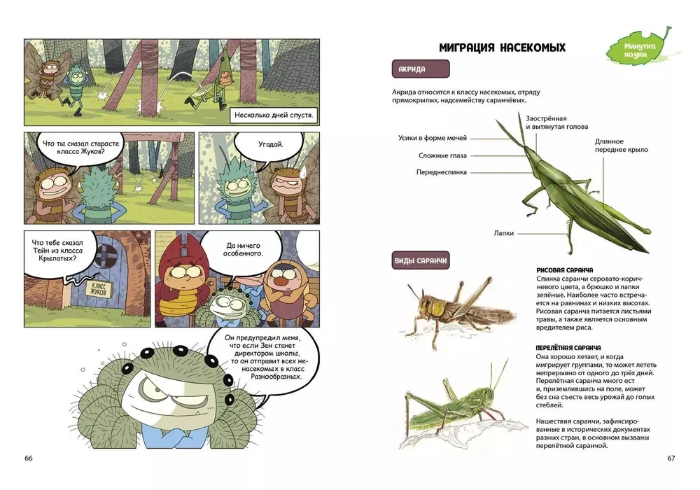 NaseKomiksi. Negadījums bišu stropā