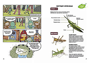 NaseKomiksi. Negadījums bišu stropā