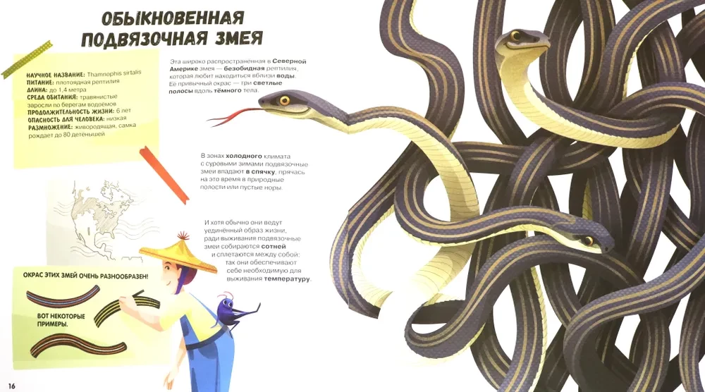 Visbrīnišķīgākās rāpuļi