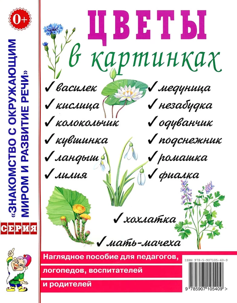 Ziedi attēlos. Vizuālais palīglīdzeklis pedagogiem, audzinātājiem, logopēdiem, vecākiem