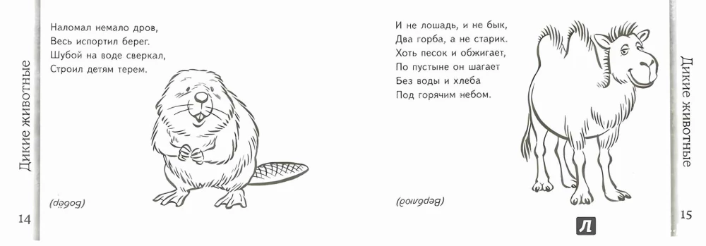 Загадки о животных