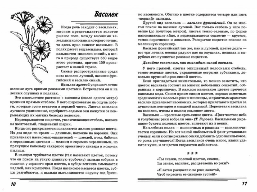 Zāles. Kādas tās ir?