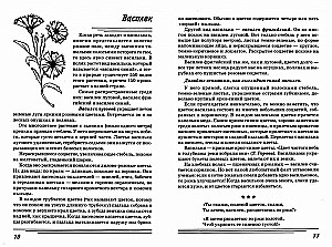 Zāles. Kādas tās ir?