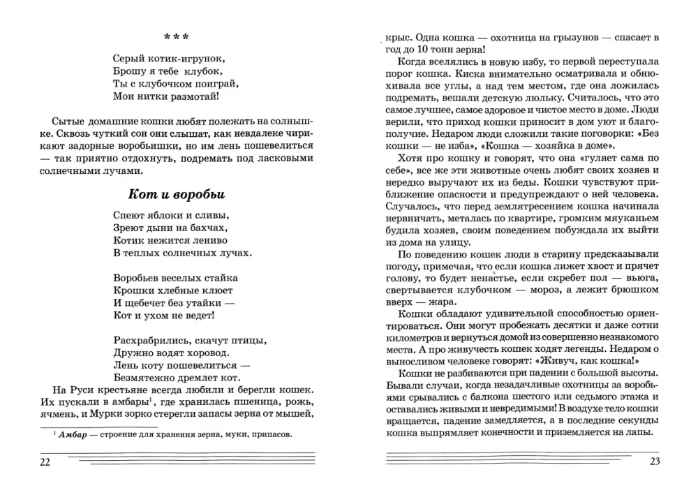 Домашние животные. Какие они?