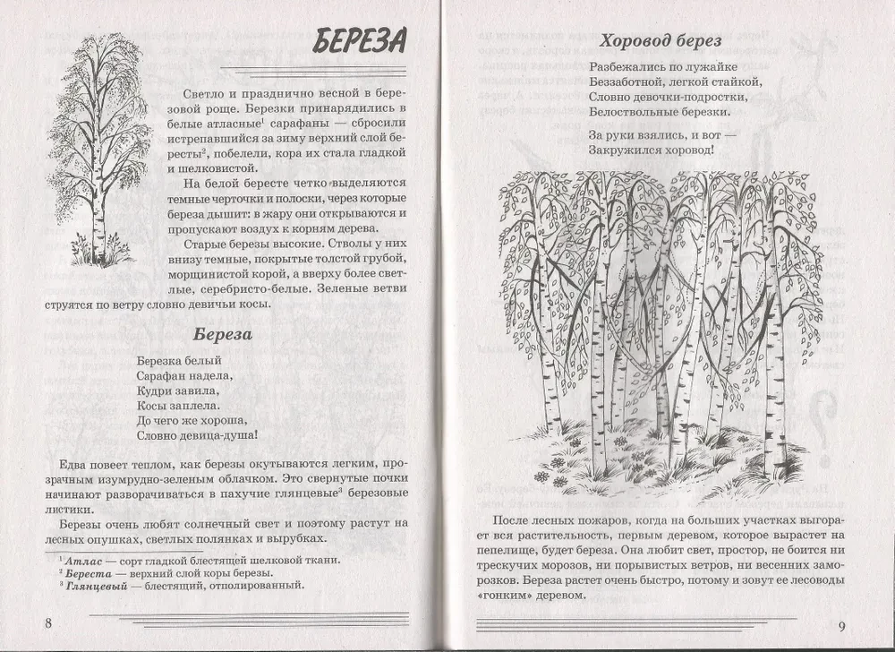 Koki. Kādi tie ir?