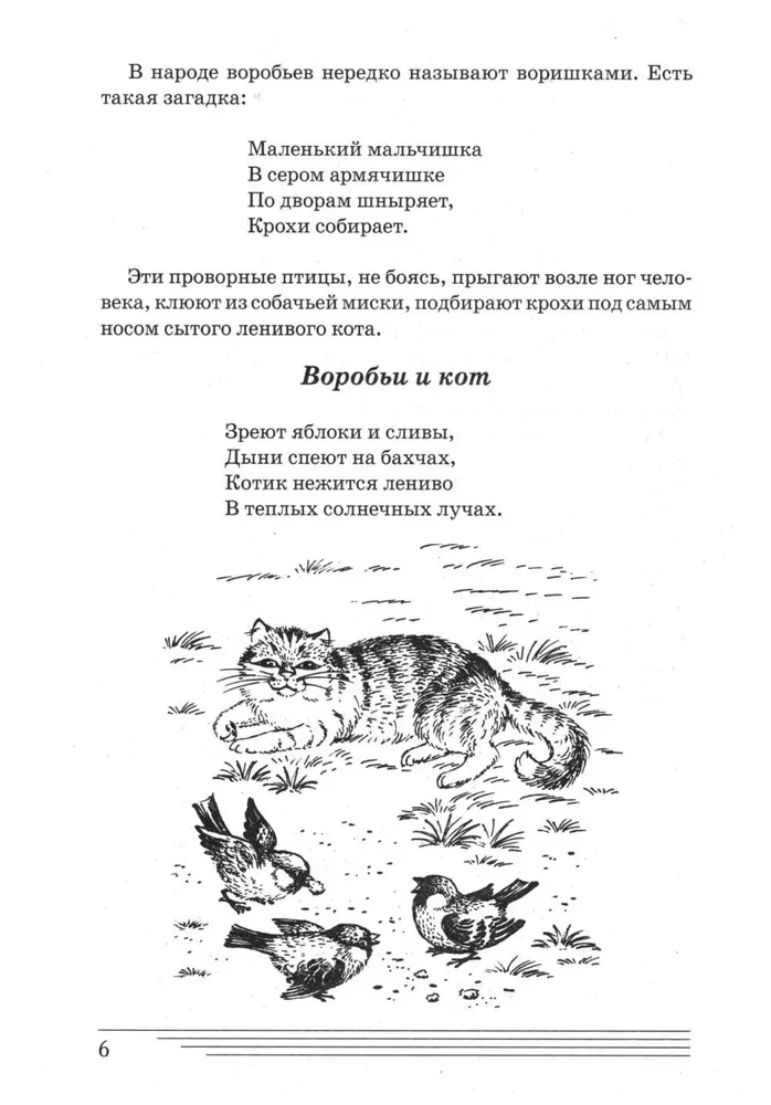 Putni. Kādi tie ir?