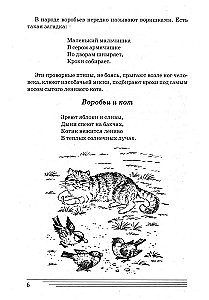 Putni. Kādi tie ir?