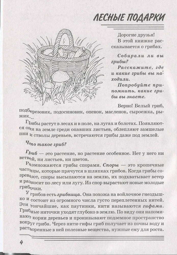 Sēnes. Kādas tās ir?