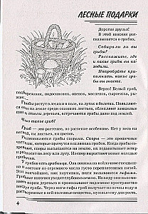 Sēnes. Kādas tās ir?