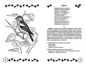 Dzejas un runas vingrinājumi par tēmu Putni. Loģiskās domāšanas un runas attīstība bērniem