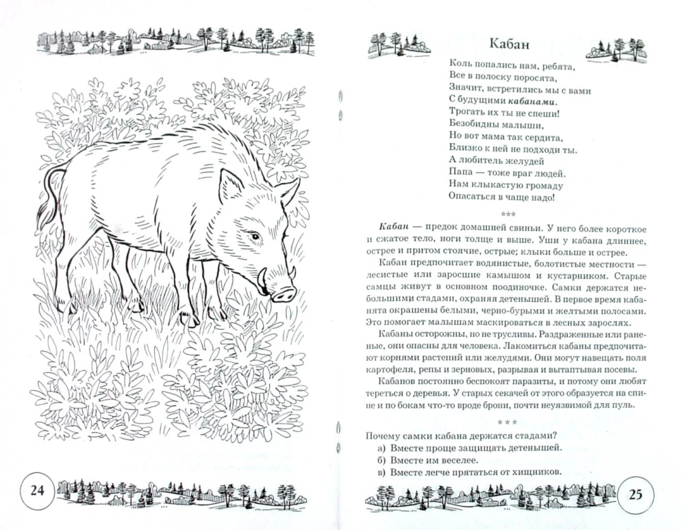Dzejas un runas vingrinājumi par tēmu Meža dzīvnieki. Runa un loģiskā domāšana bērniem