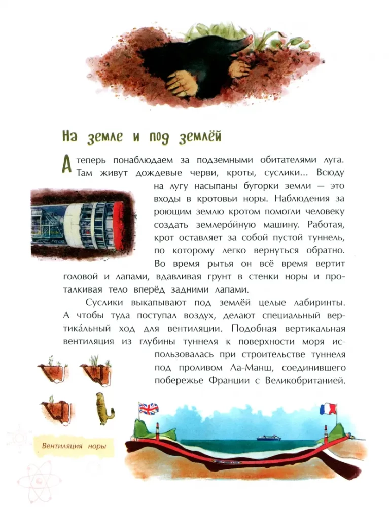 Novērots dabā