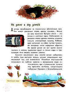 Novērots dabā
