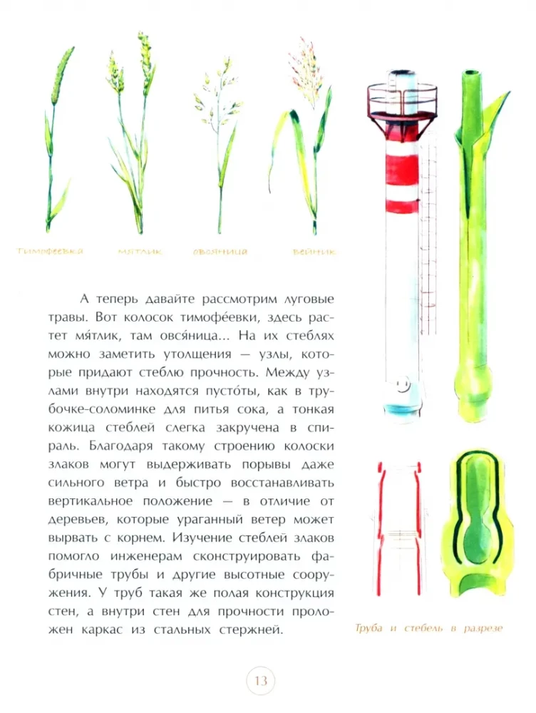 Novērots dabā