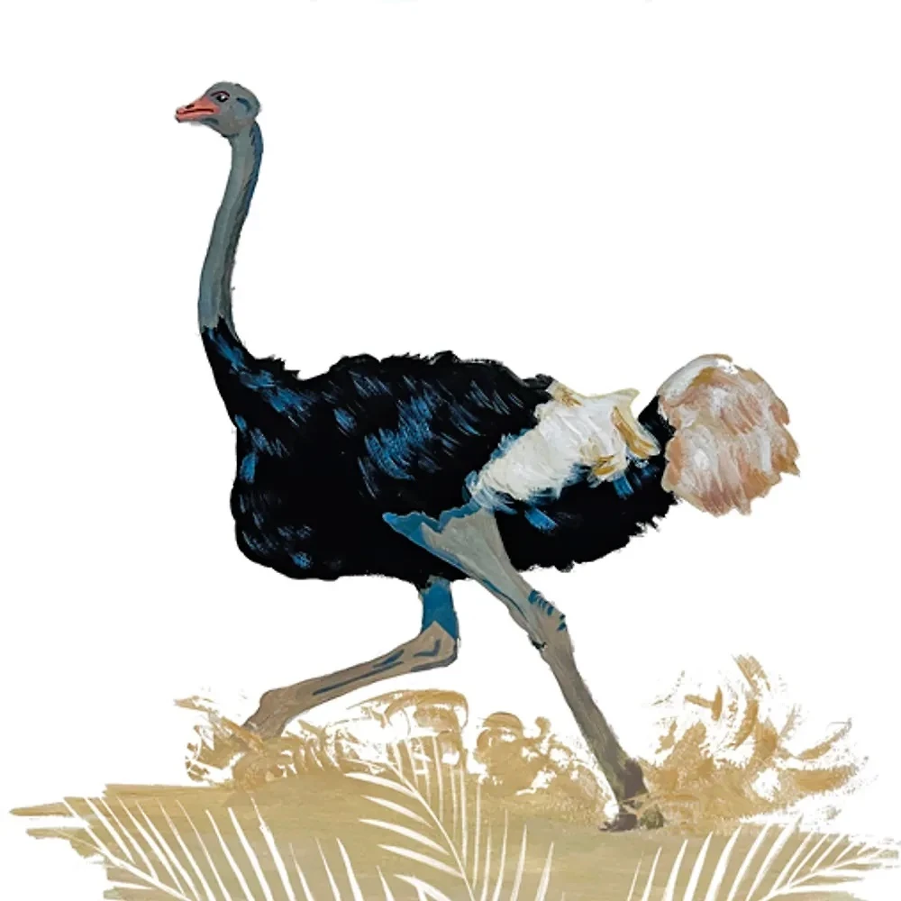 Kā iemidzināt pitonu