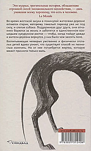 Дни, месяцы, годы