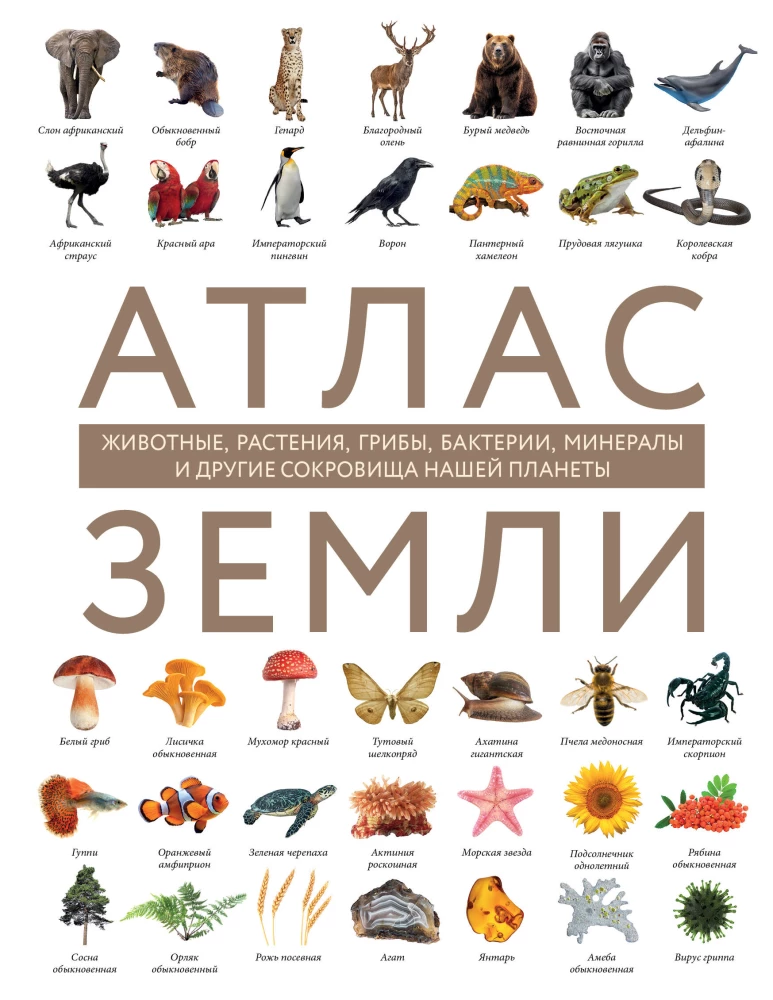 Zemes atlants. Dzīvnieki, augi, sēnes, baktērijas, minerāli un citi mūsu planētas dārgumi