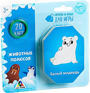 Карточки на кольце для игры - Животные полюсов
