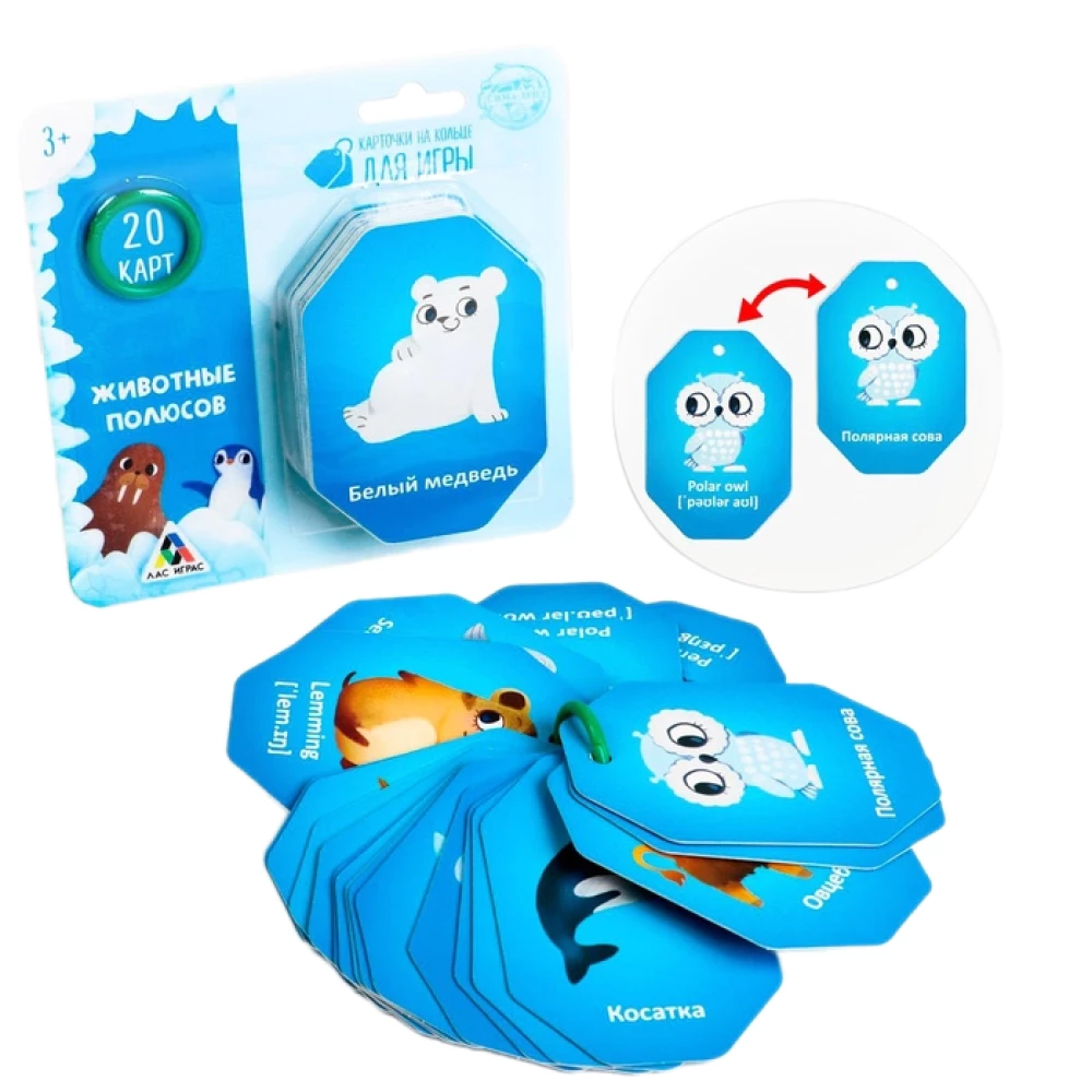Карточки на кольце для игры - Животные полюсов