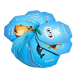 Карточки на кольце для игры - Животные полюсов