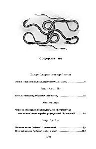 Тайный сообщник