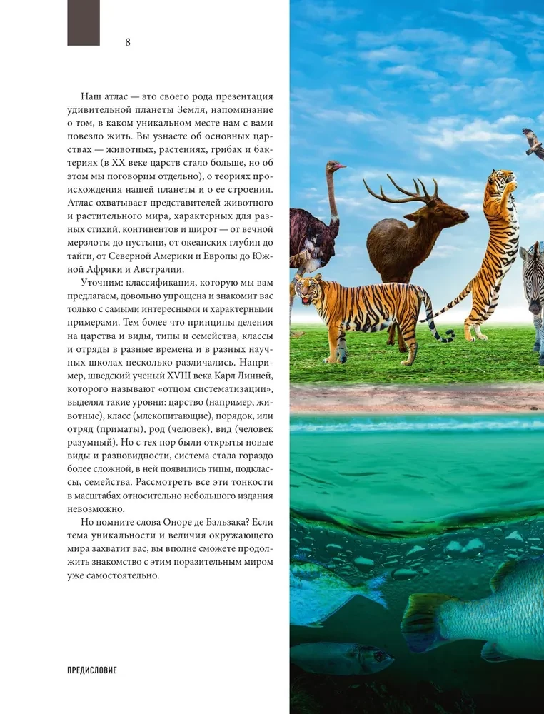 Zemes atlants. Dzīvnieki, augi, sēnes, baktērijas, minerāli un citi mūsu planētas dārgumi