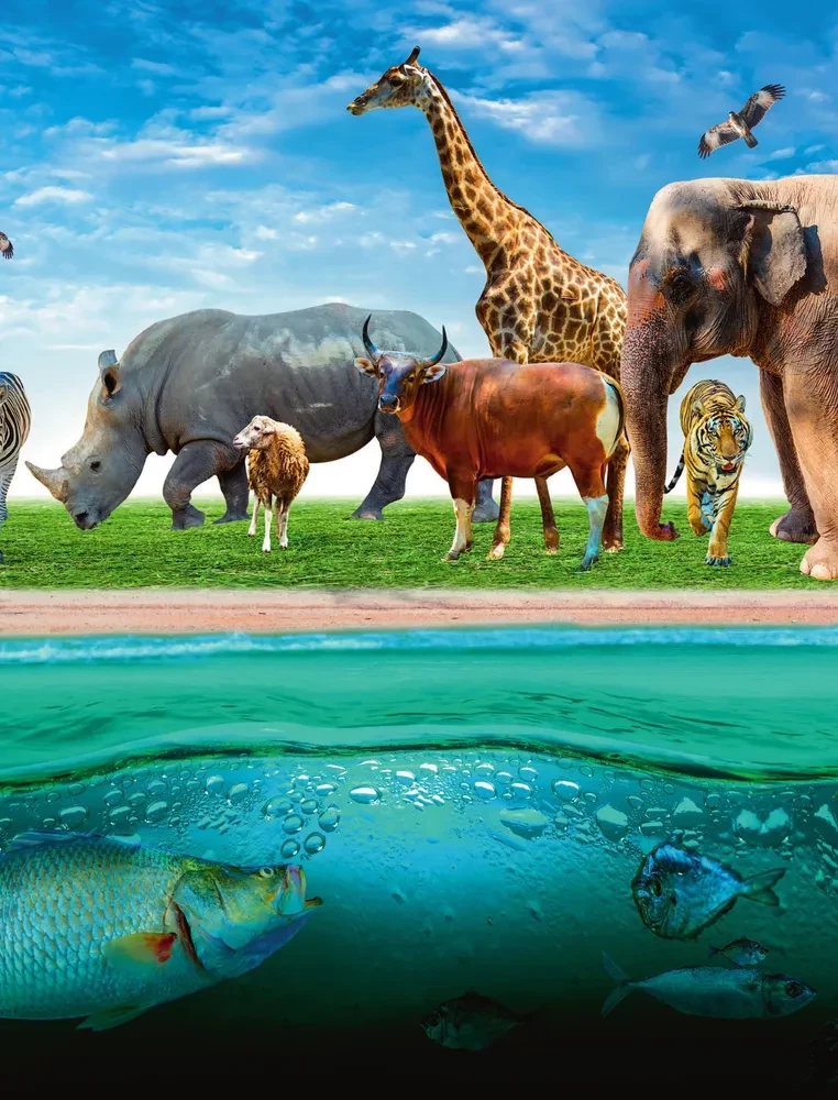 Zemes atlants. Dzīvnieki, augi, sēnes, baktērijas, minerāli un citi mūsu planētas dārgumi
