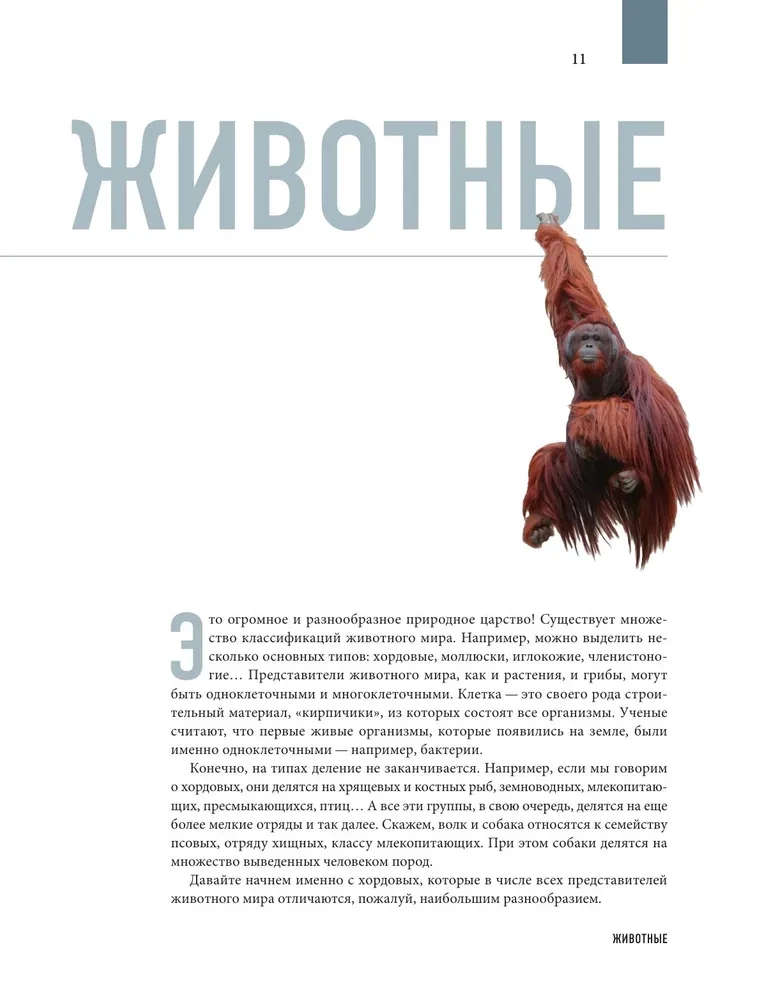 Zemes atlants. Dzīvnieki, augi, sēnes, baktērijas, minerāli un citi mūsu planētas dārgumi