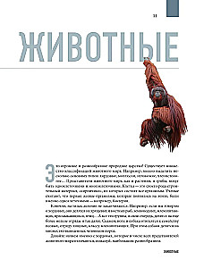 Zemes atlants. Dzīvnieki, augi, sēnes, baktērijas, minerāli un citi mūsu planētas dārgumi