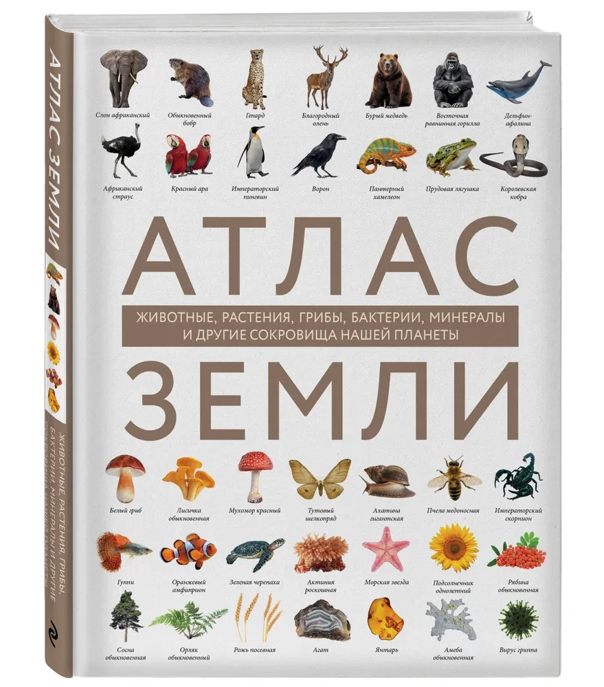 Zemes atlants. Dzīvnieki, augi, sēnes, baktērijas, minerāli un citi mūsu planētas dārgumi