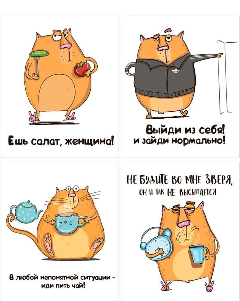 Kopējā burtnīca 48 lapas - Kaķis Krenģelis, dažādās krāsās
