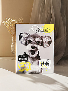 Фотоальбом на 100 фото - Fluffy pets. Гав (10х15)