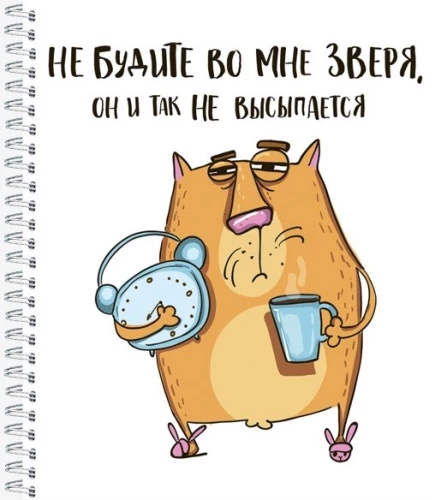 Burtnīca - Kaķis Krenģelis