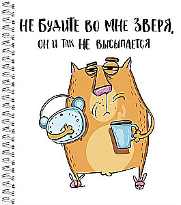 Burtnīca - Kaķis Krenģelis