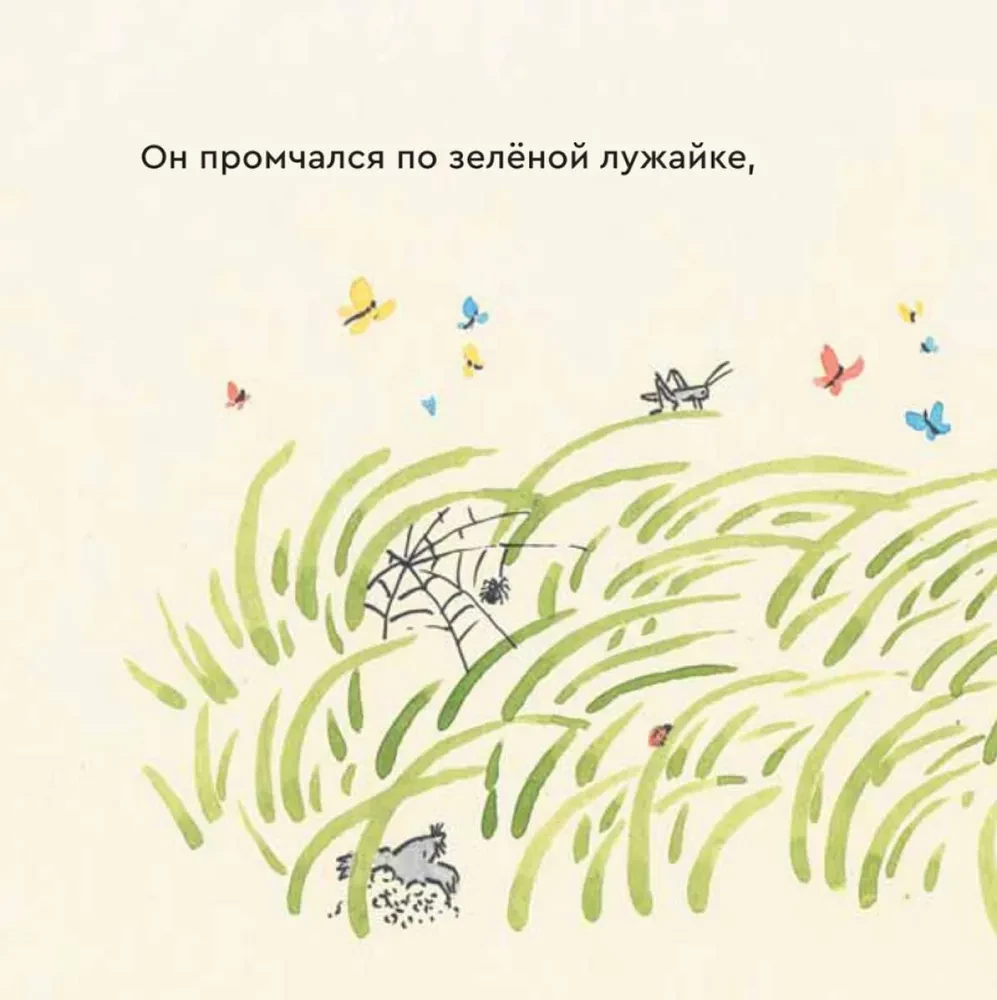 Прогулка