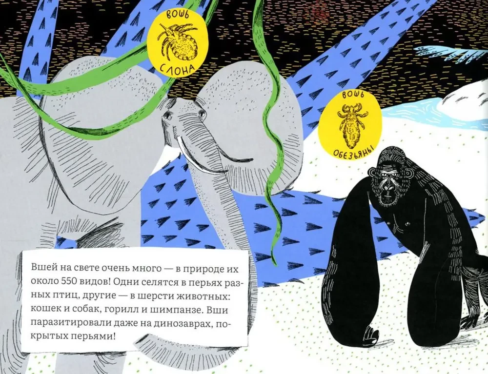 Почему голова чешется?