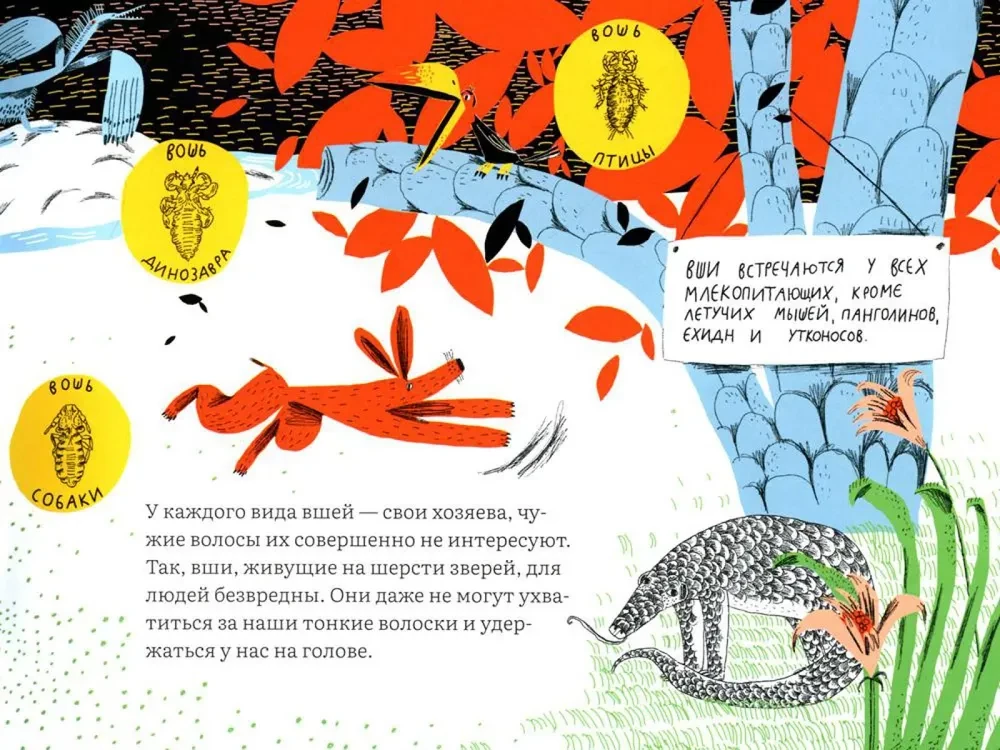 Почему голова чешется?