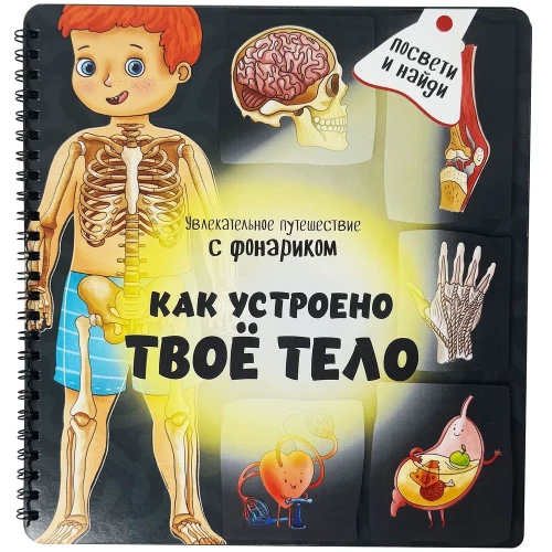 Kā ir iekārtots tavs ķermenis
