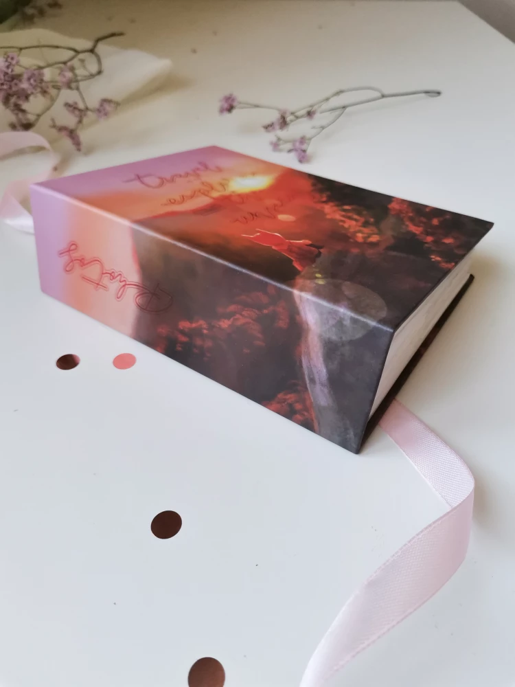Fotoalbums uz 100 fotogrāfijām - Cute foxy. Saullēkts (10x15)