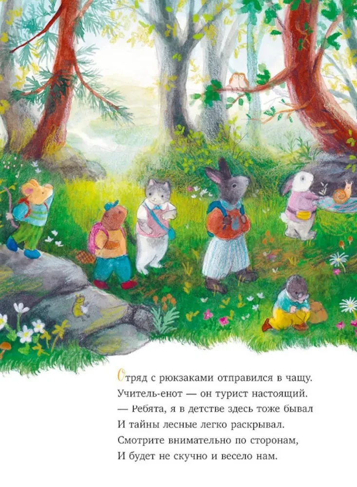 Сказки старого леса. Прогулка по лесу
