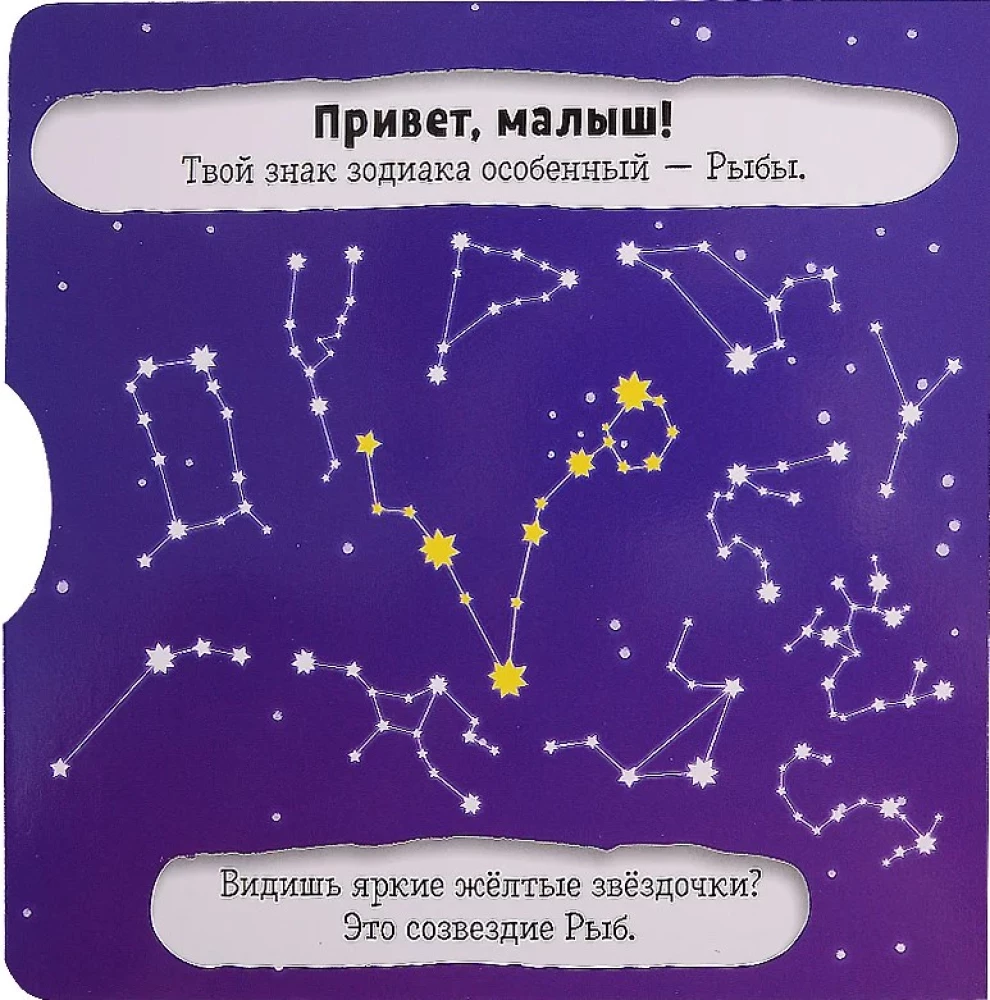 Рыбы