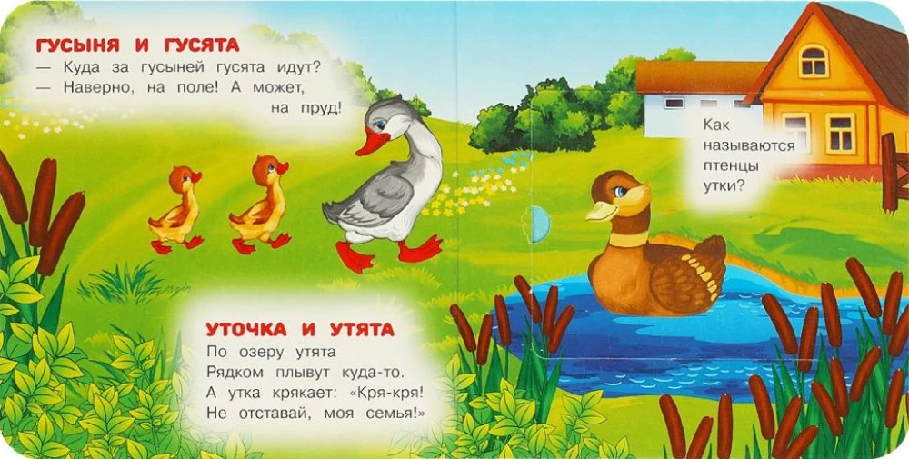 Книжка с окошками - Мамы и малыши