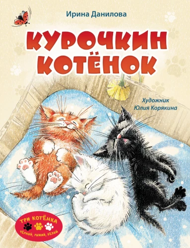 Kuriķu kaķēns