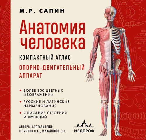 Cilvēka anatomija. Kompakts atlants. Atbalsta un kustību aparāts